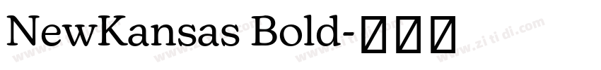 NewKansas Bold字体转换